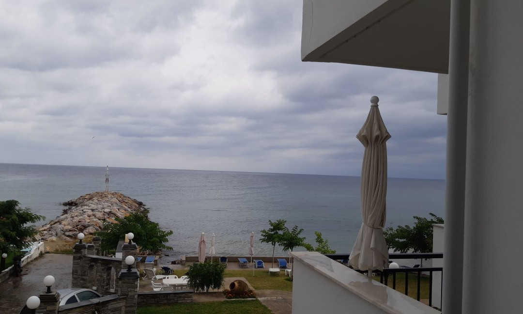 Pansion Alexandros主图