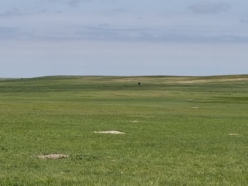 Buffalo Gap National Grassland-拉皮德城必去景点