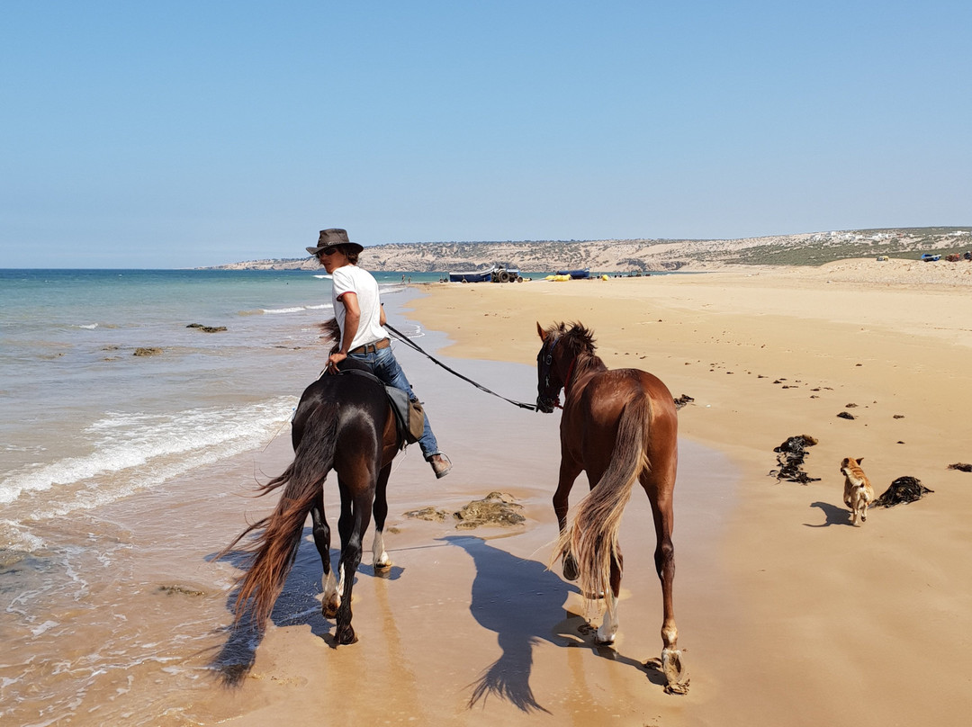 Maroc a Cheval-Sidi Kaouki必去景点