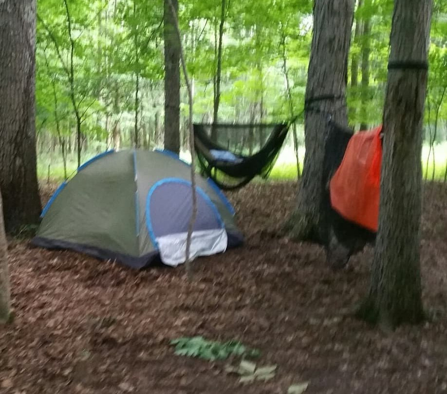 East Fork State Park-Bethel必去景点
