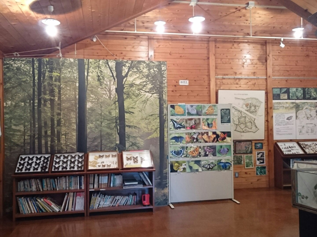 Village of Butterfly Park-岚山町必去景点