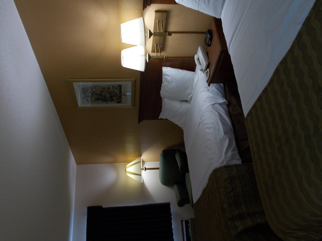 Royalton Inn and Suites Wilmington主图