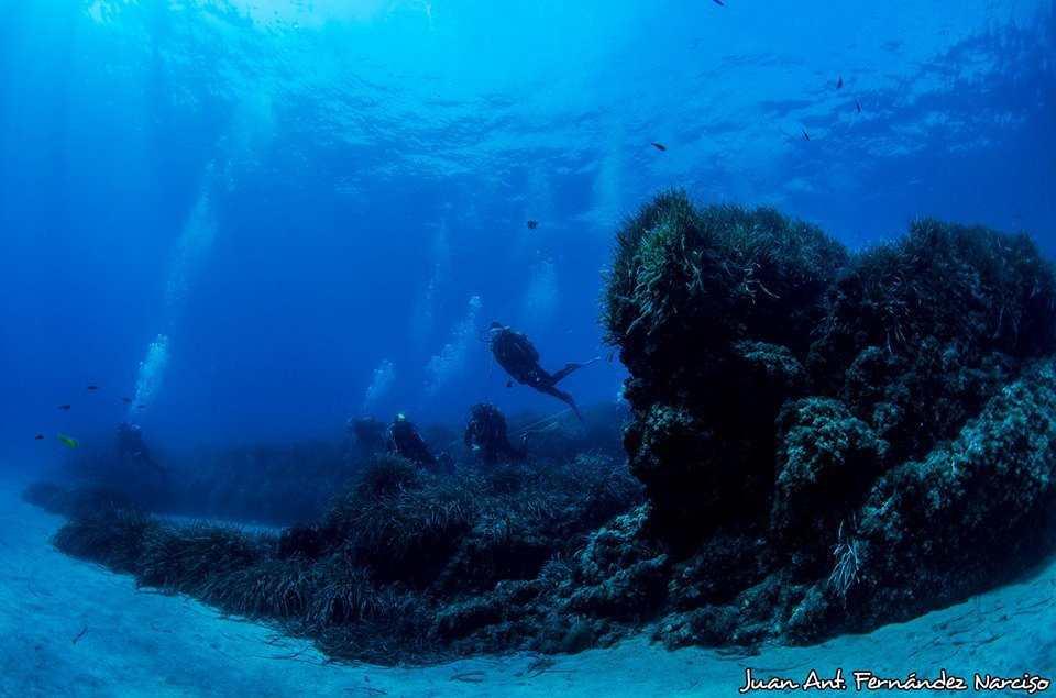 Buceo Crised景点图片