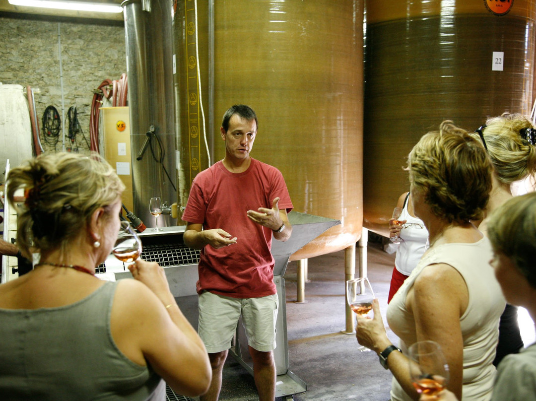 Domaine Terres Georges-Castelnau-d'Aude必去景点