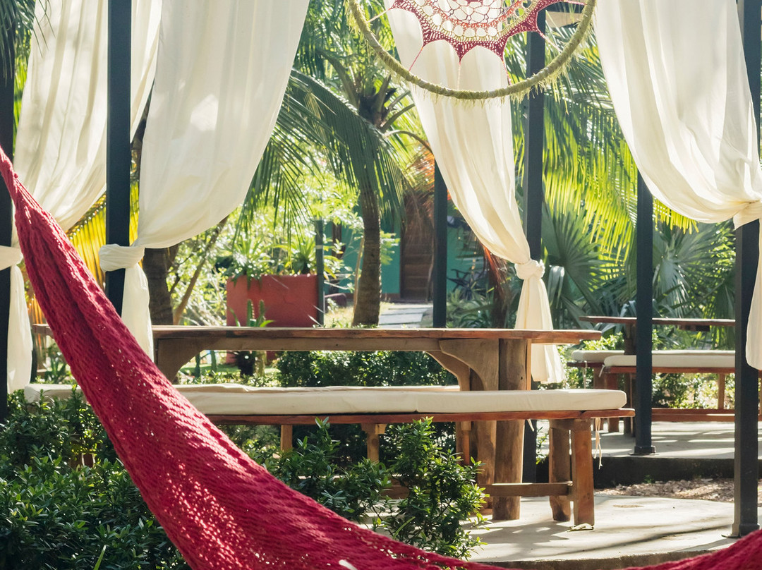 Hotel Mauna Loa主图