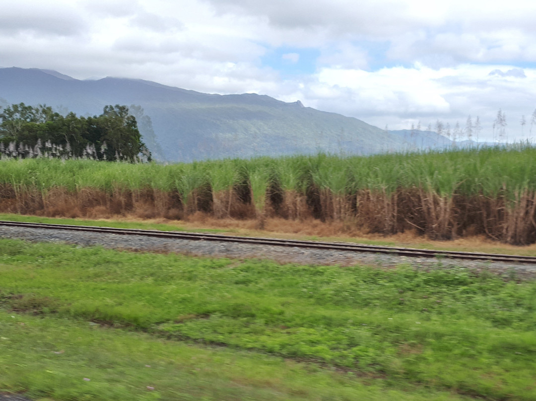 Daintree Village Hotel-Daintree必去景点