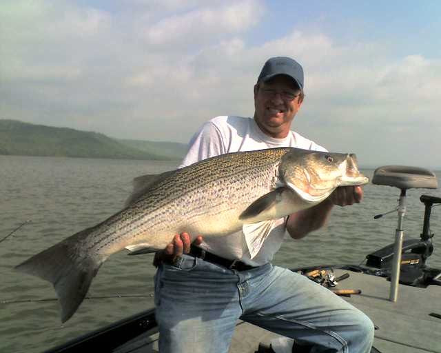 Tommy Cauley: Fishing Guide Service Greers Ferry Lake景点图片