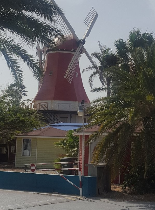 The Old Mill-Noord必去景点