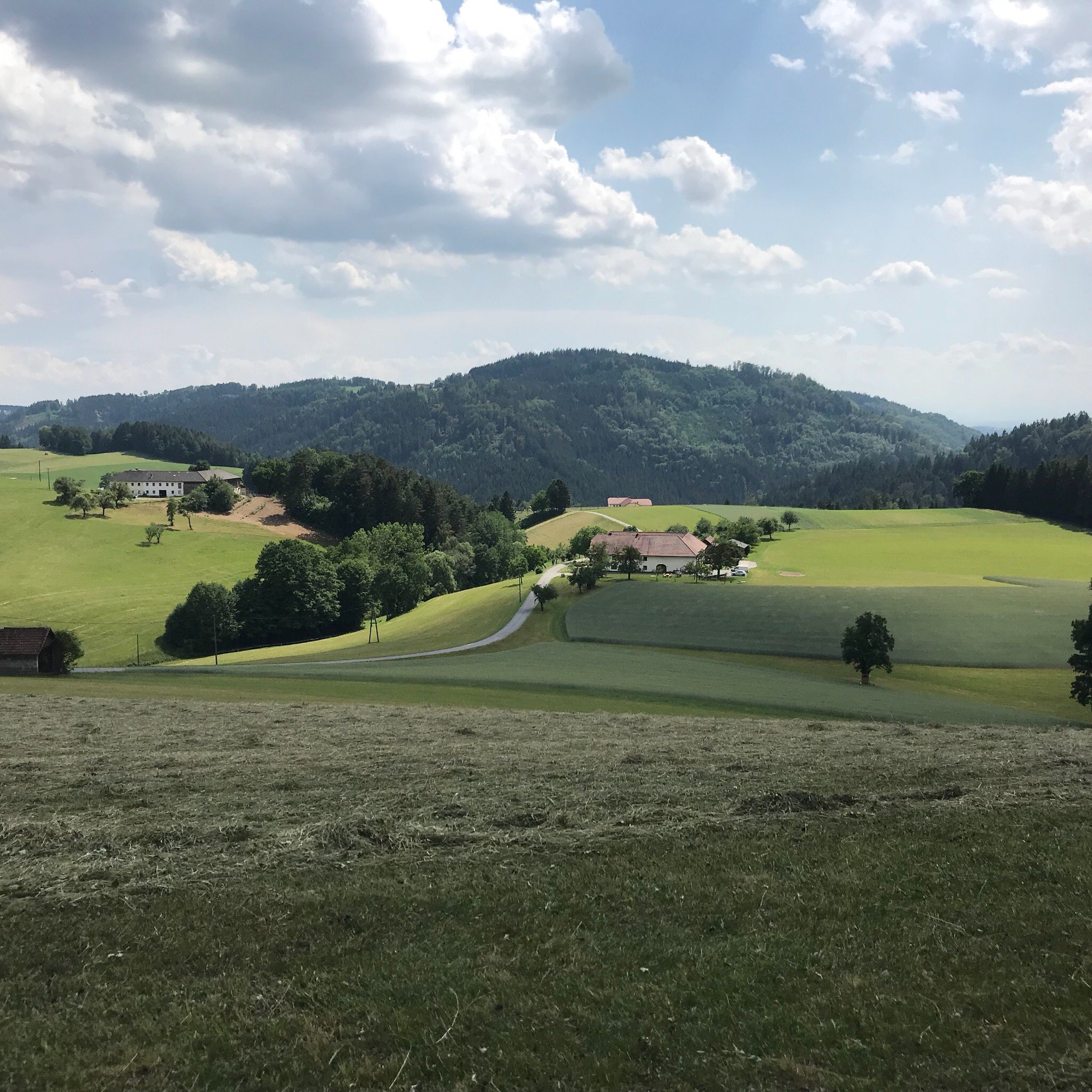 Bauernhof Wenigeder-官方
