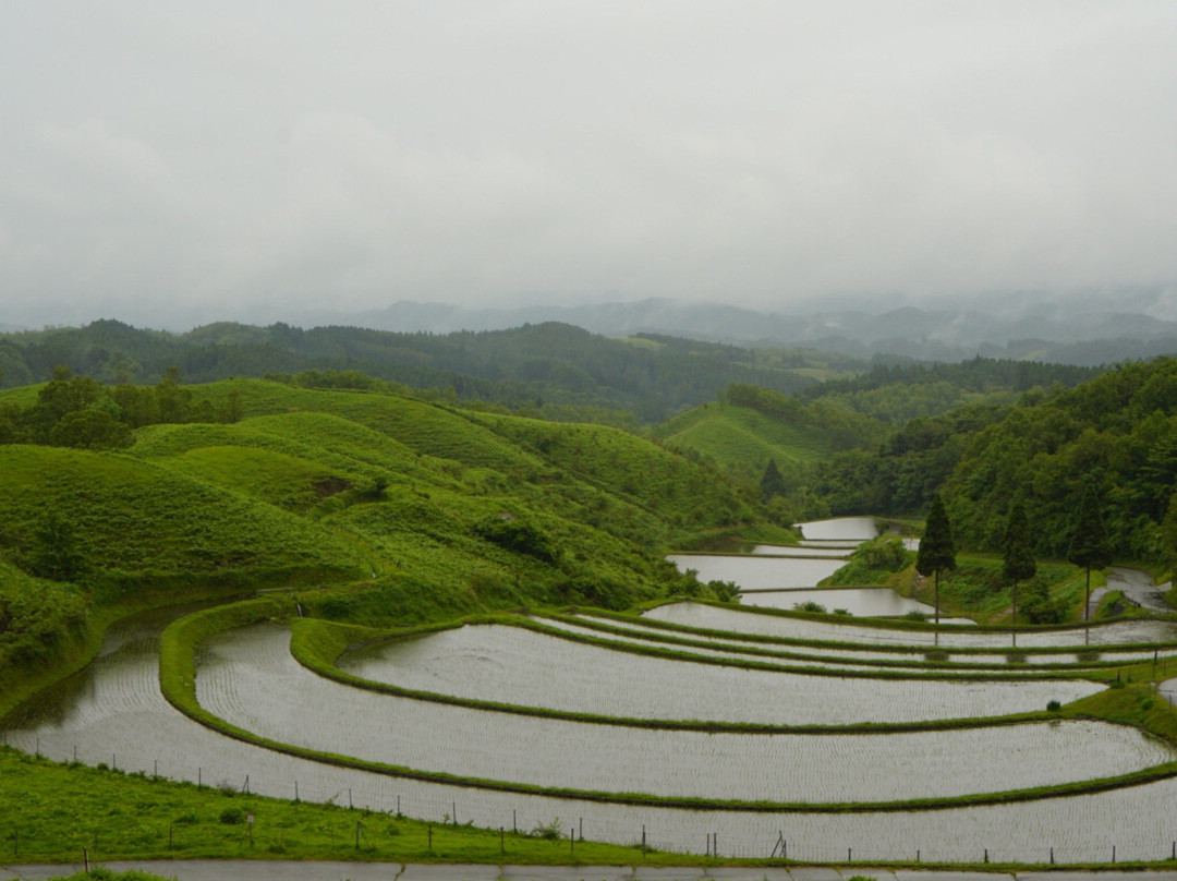 Ogi Rice Terraces景点图片