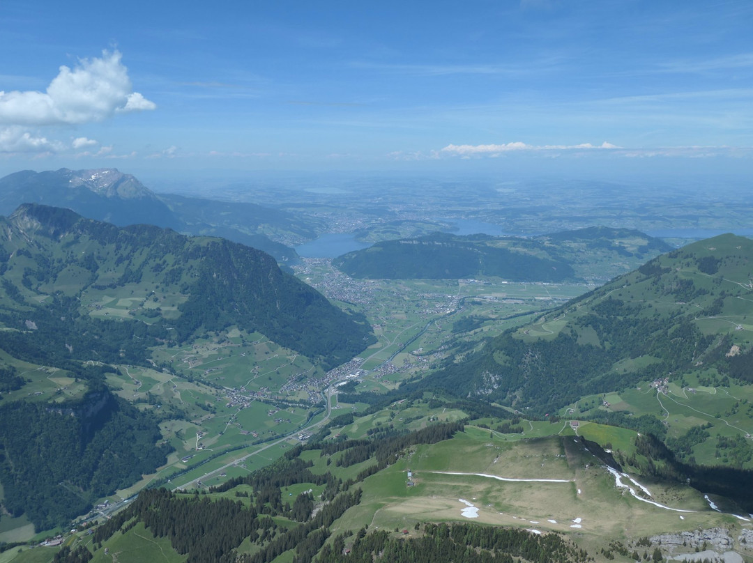 DragonView.ch Paragliding Adventure-苏黎世必去景点