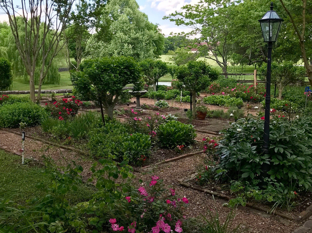 Castalian Springs旅游攻略图片