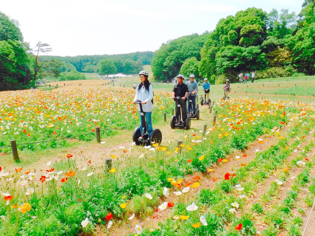 Segway Nature Exprience Tour In Shinrin Park
