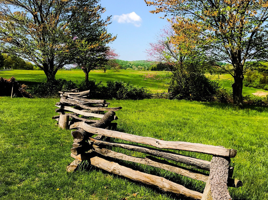 Valley Forge旅游攻略图片