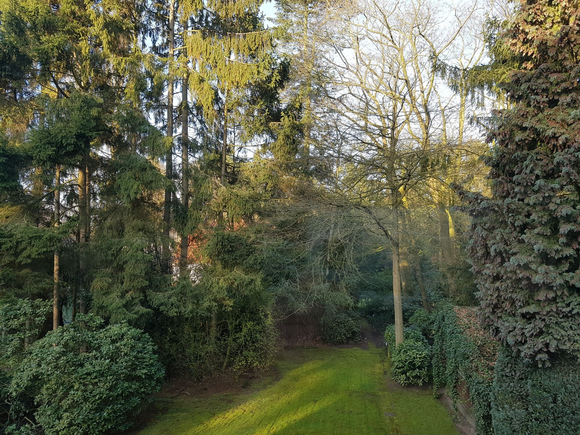 B&B Lobelia-Brugge-酒店景观