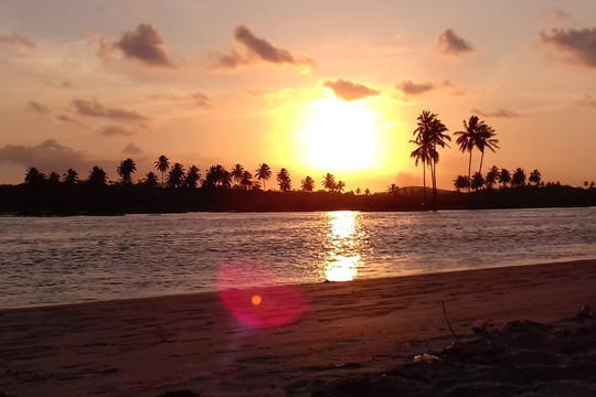 Experiencing Porto-嘎林海斯港必去景点