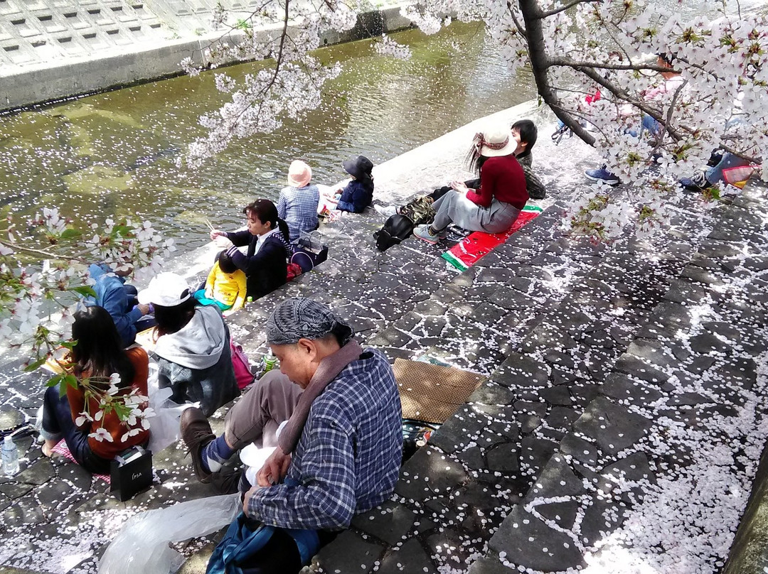 Tatsutagawa Walking Path景点图片