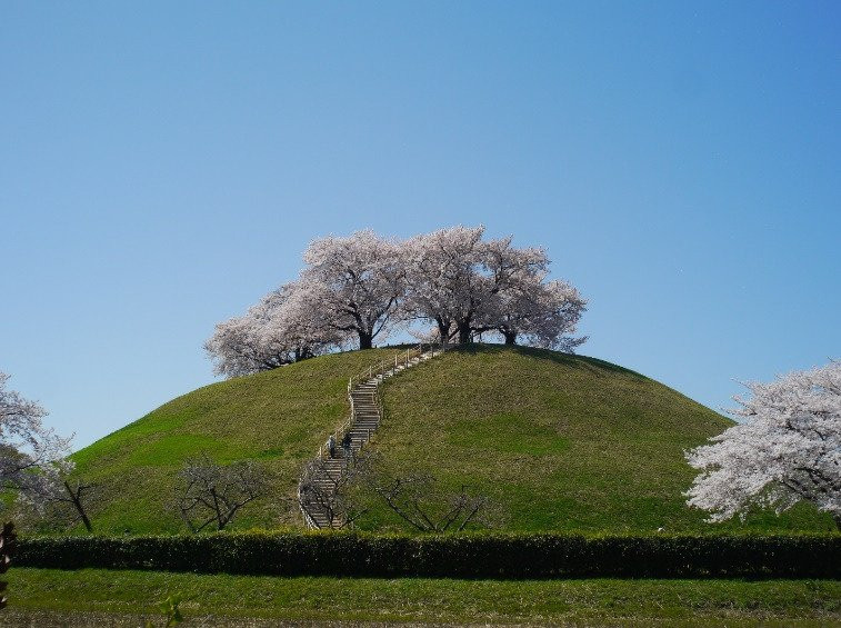 Sakitama Kofun Park-行田市必去景点
