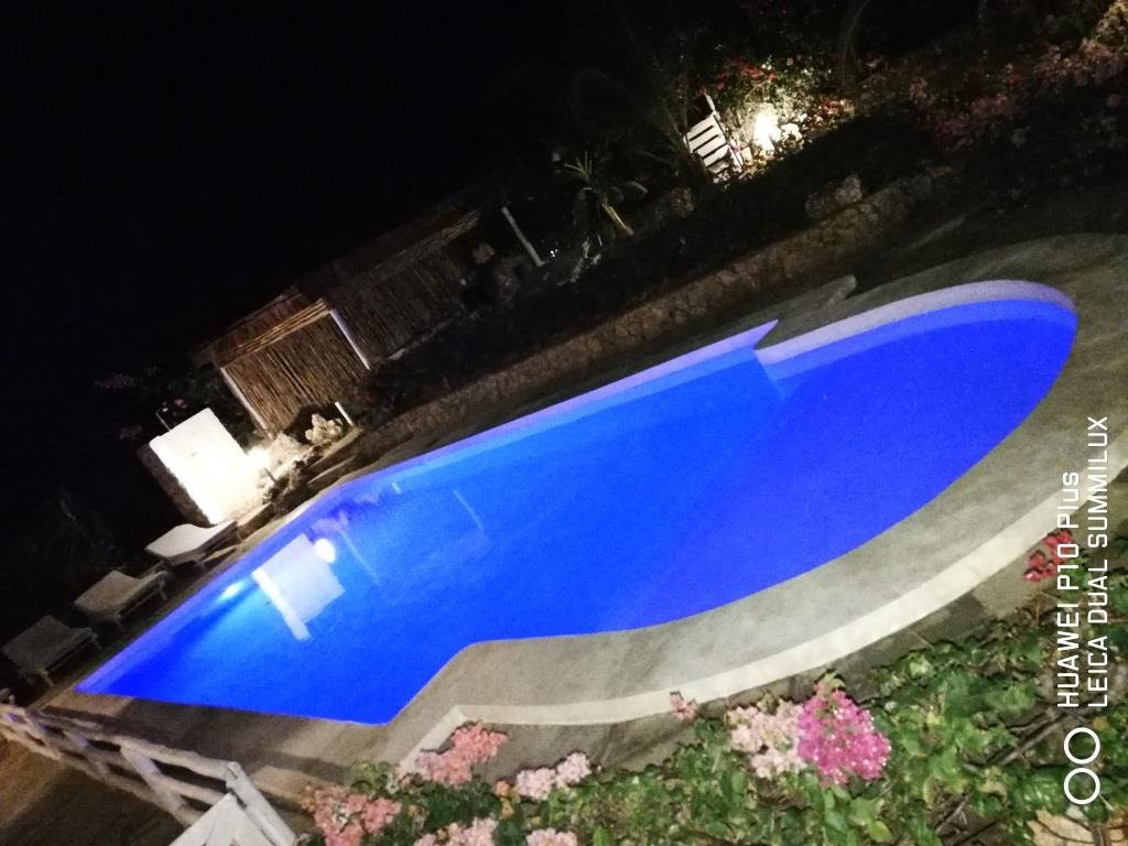 Nyumba Ya Afrika主图