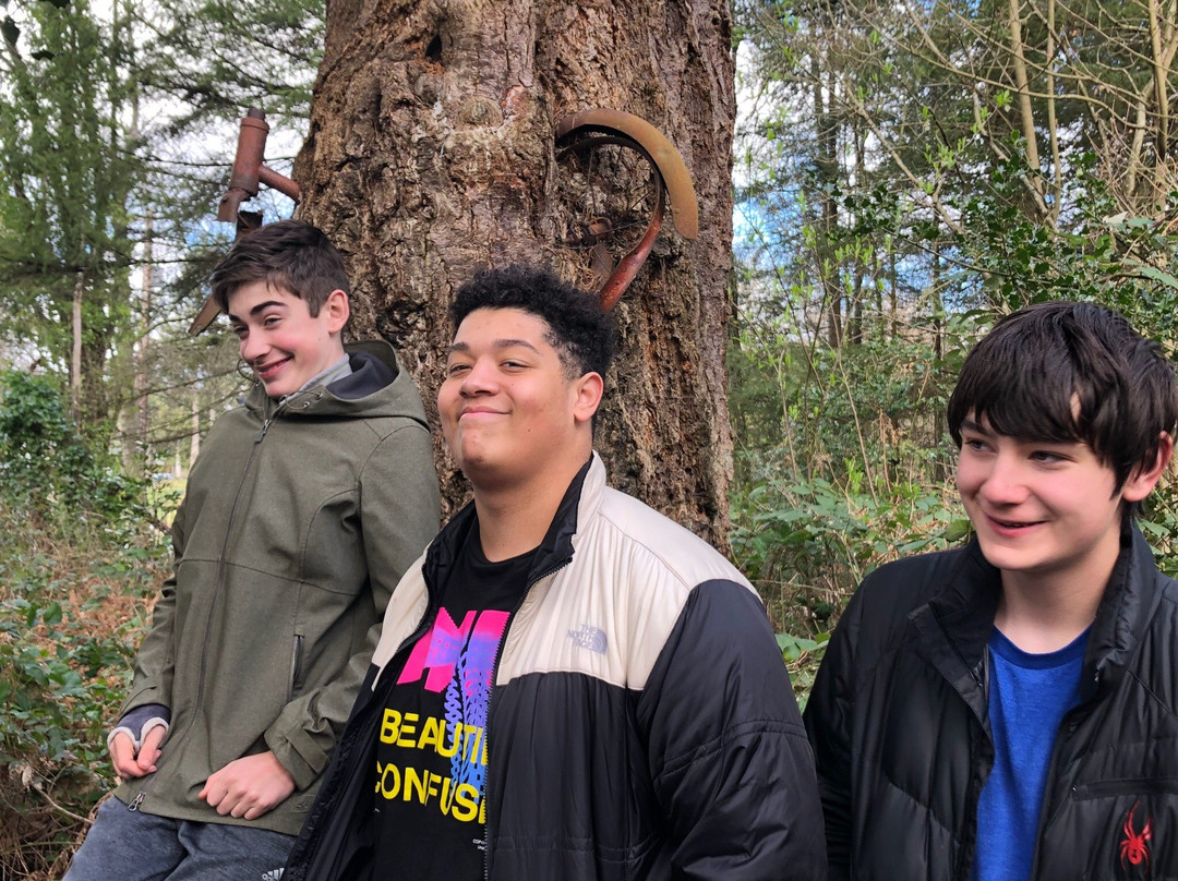 Old Bicycle in the Tree-Vashon必去景点