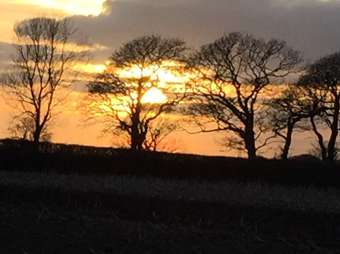 Lower Claverham Farm B&B主图