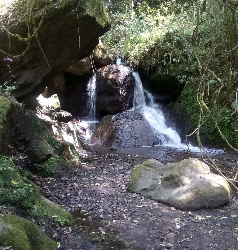 Parque Ecoturistico Dos Aguas-Tlalmanalco必去景点