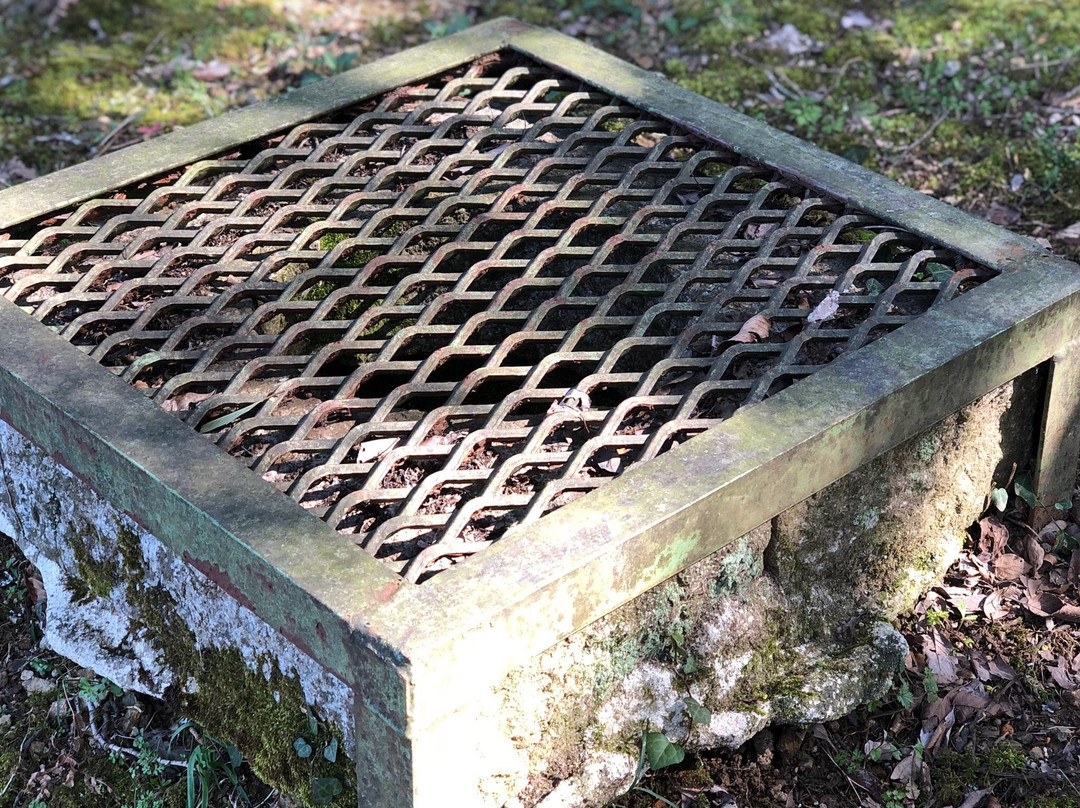 Ashiya Trunk of a Battery-舞鹤市必去景点