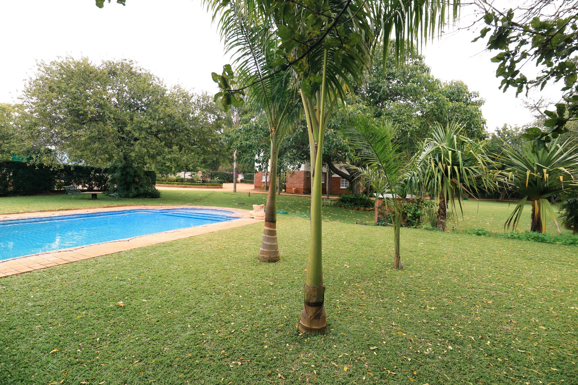 Hillside Manor-泳池