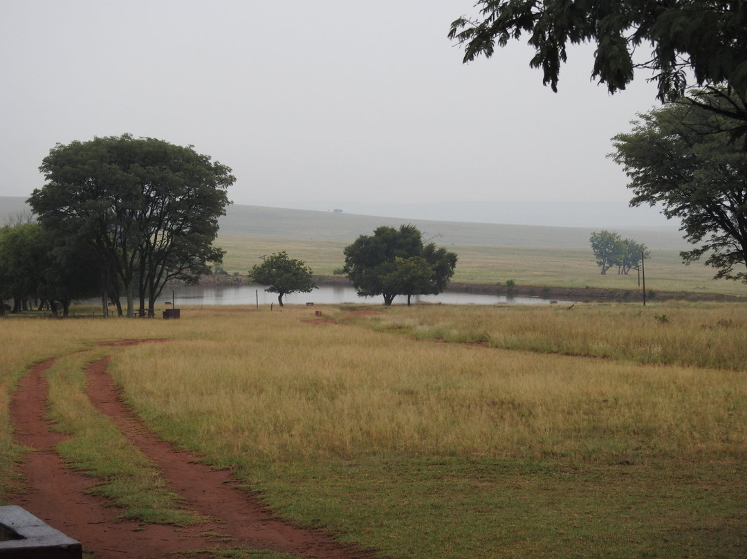 Ezemvelo Nature Reserve主图