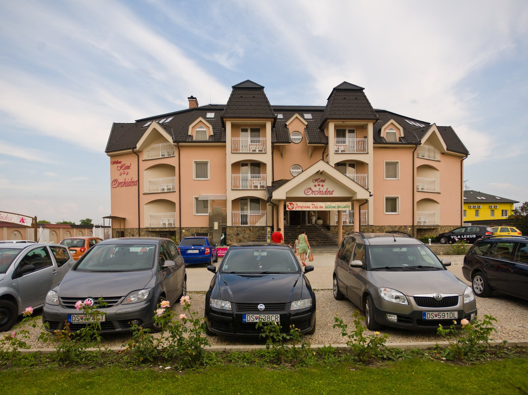 Spa & Wellness Hotel Orchidea主图