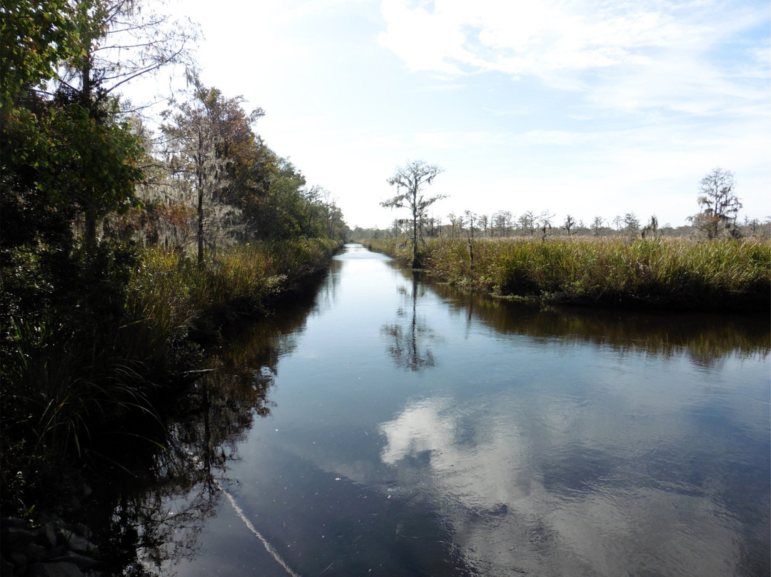 J.F. Gregory Park-里士满希尔必去景点