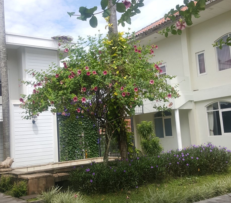 Sevilla Resort主图