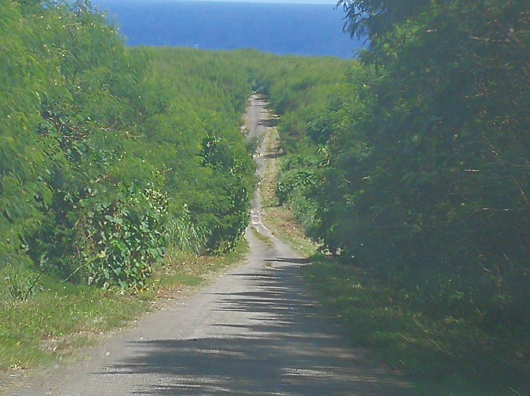 San Jose旅游攻略图片