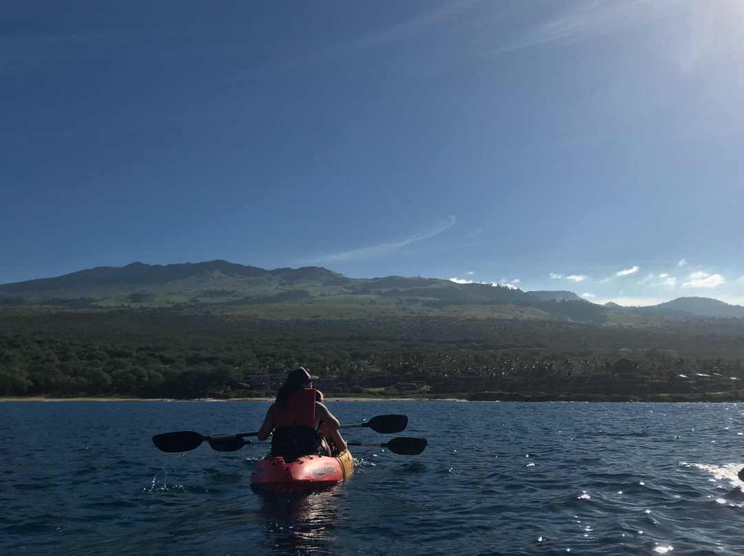 HangLoose Maui Ocean Adventures-Makena必去景点