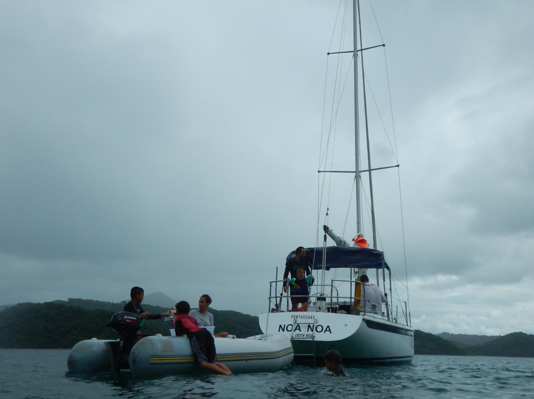 Noa Noa Surfari Sailing景点图片