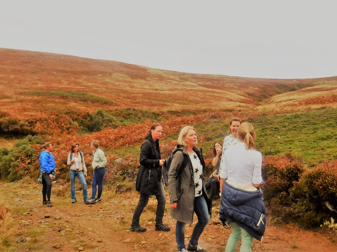 Hidden Trails Guided Tours-Graiguenamanagh必去景点