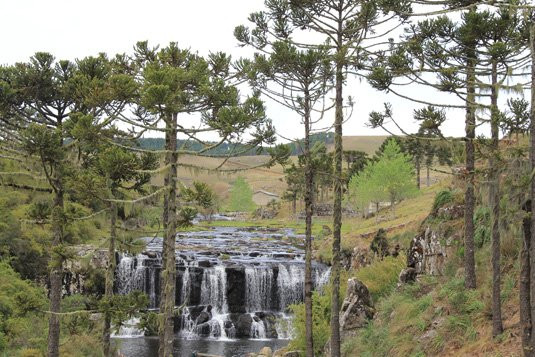 Hotel Morada dos Pinheiros主图