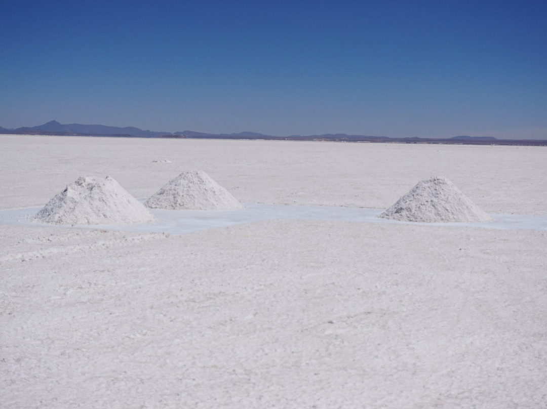 Got Salt Bolivia景点图片