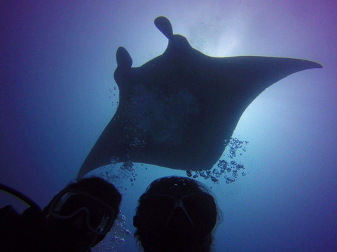 Divers Lodge Maldives-马累必去景点