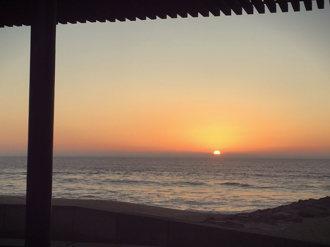 绿色海岸冲浪之家旅馆