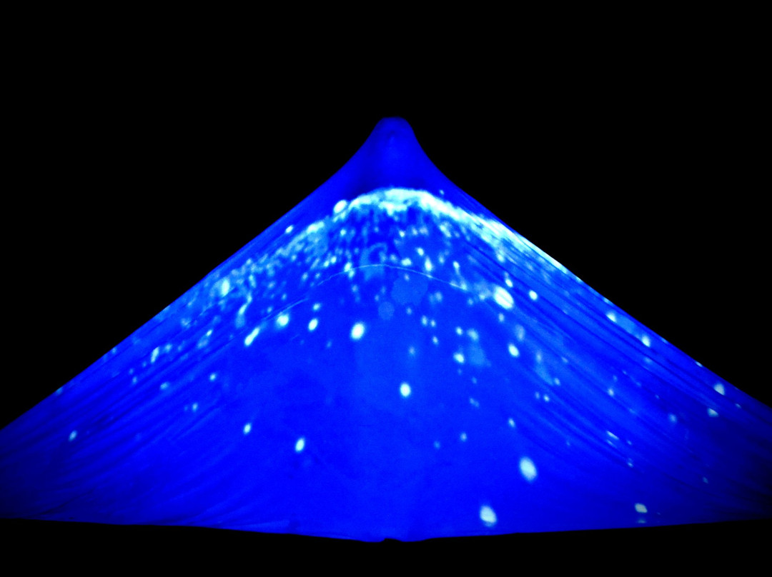 HILT black light theatre-布拉格必去景点
