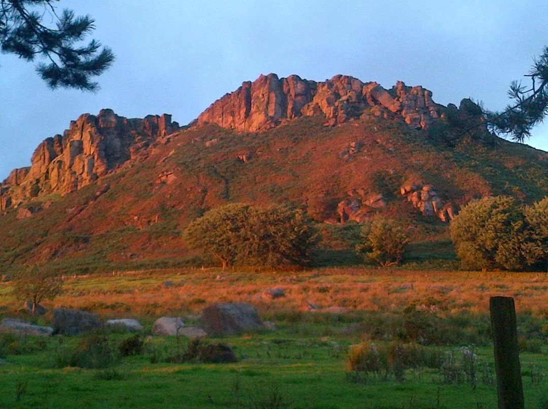 Wincle酒店住宿-Hen Cloud Cottage