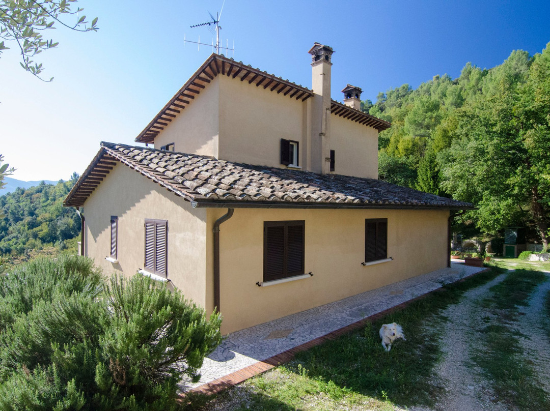 Agriturismo Il Casaletto主图