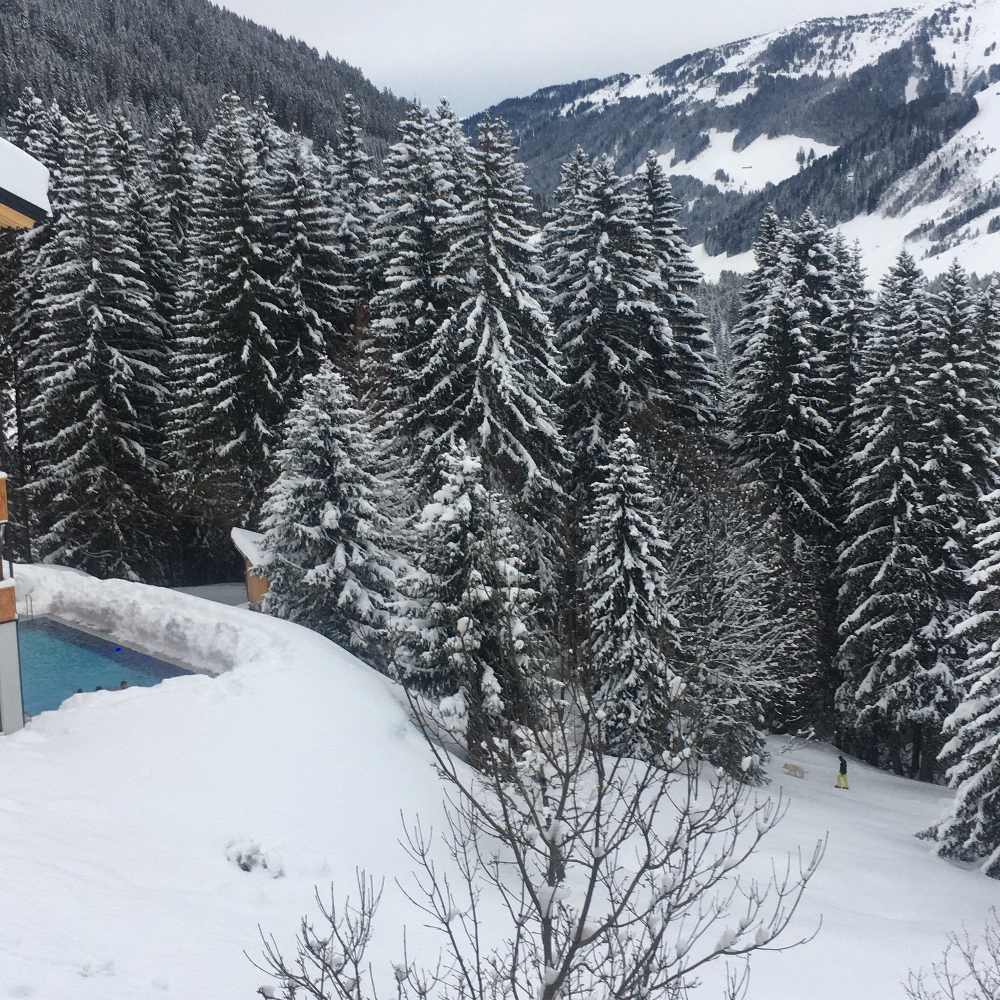 Pension Edelweiss-官方