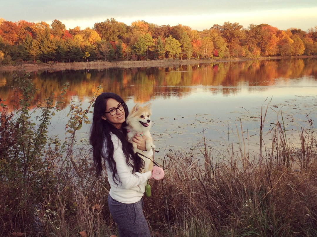 Lake Artemesia-科利奇帕克必去景点