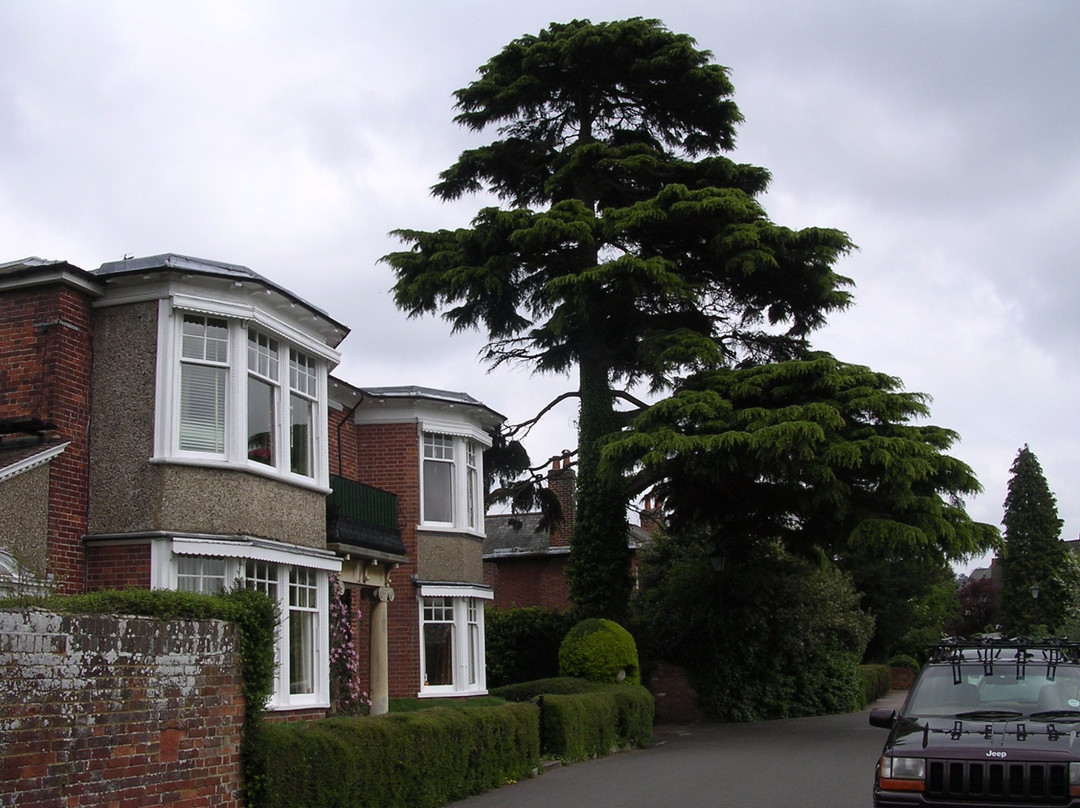 Marlow Place景点图片