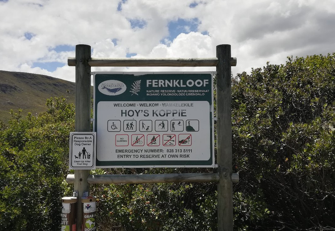 Hoy's Koppie-赫曼努斯必去景点