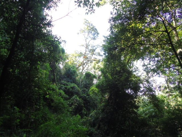 Khonghampat Orchidarium-因帕尔必去景点