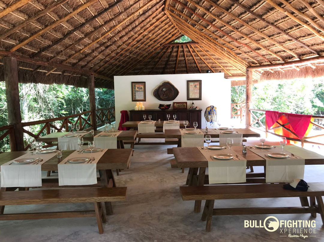 Bullfighting Xperience Riviera Maya-从莫雷洛斯港必去景点