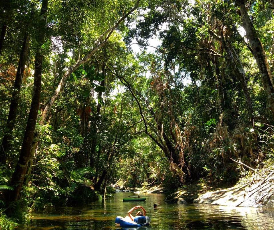 Freeride Electric Adventure Tours-Cape Tribulation必去景点